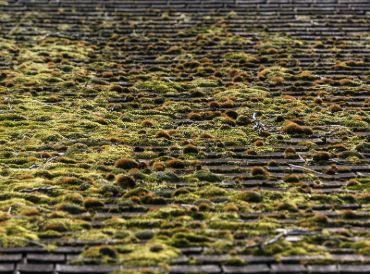 Nettoyage et démoussage de toiture à Boulogne-Billancourt dans les Hauts de Seine